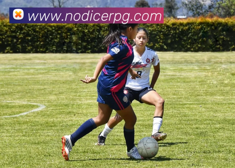 pg官网发展历程